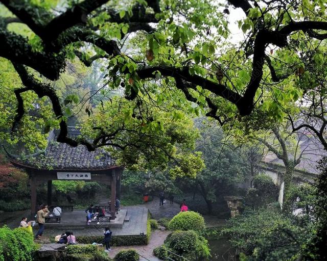 风景清新大树亭子人群休闲旅游景点背景图片