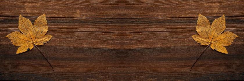 背景 枫叶 叶子 秋季 秋天的落叶 秋天的颜色 黄色 木