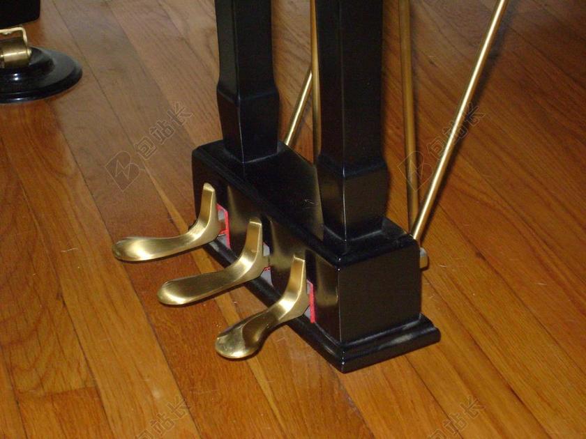 钢琴花瓣 钢琴踏板 音乐 速度 仪器 声音 击败 古典 播放