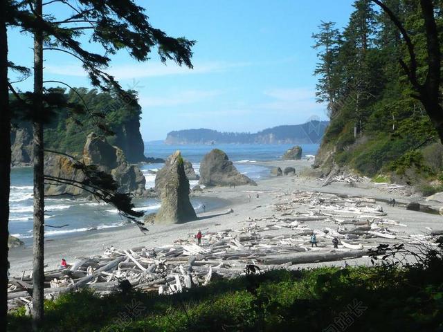 红宝石 海滩 华盛顿 美国 景观 海岸线 太平洋