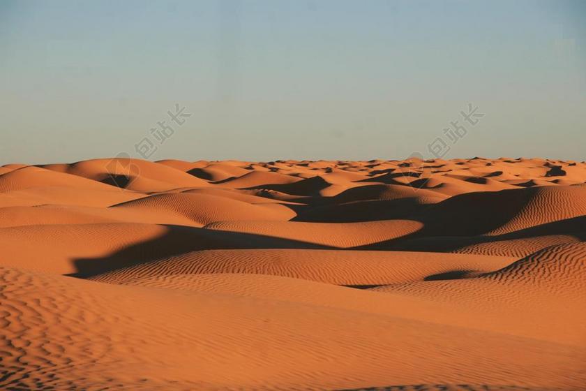 沙漠 突尼斯 竞赛 线索 马拉松 沙丘