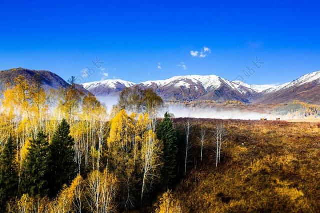 中国 北疆 雪山 景观 秋