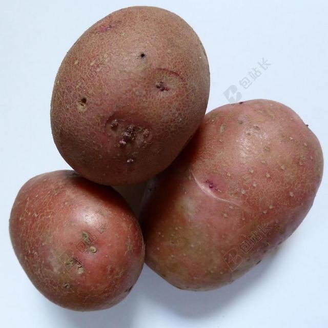 土豆 生物 性质 农业 蔬菜 吃 强度 碳水化合物 罗塞拉