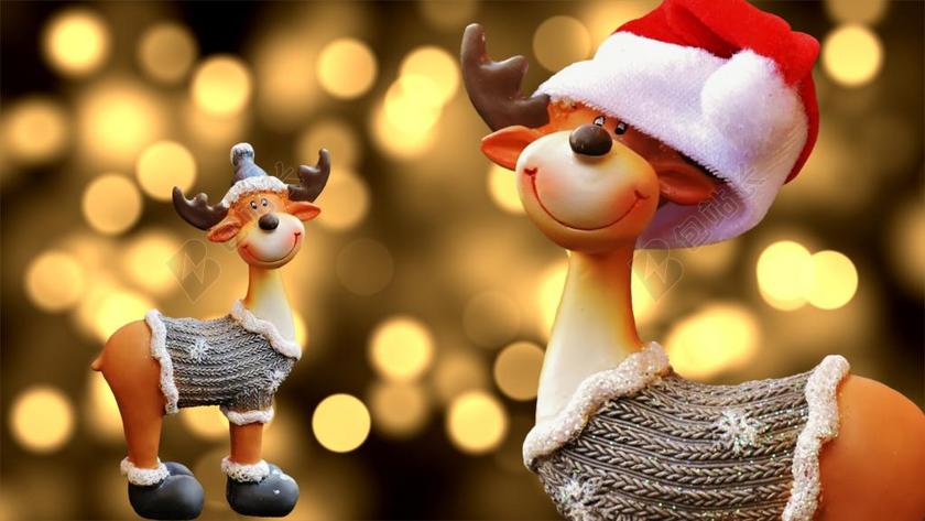 穆斯 圣诞节 圣诞主题 驯鹿 冬天 圣诞 装饰 来临 滑稽