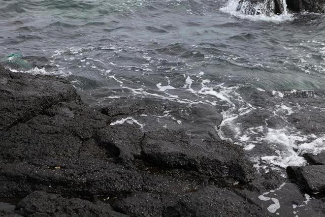 海 玄武岩 济州岛 波 蓝 济州 大自然 景观 旅游 海滩