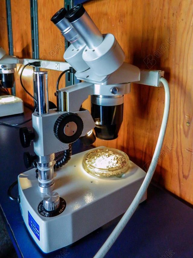 显微镜 实验室 科学 研究 科学家 技术 分析 设备