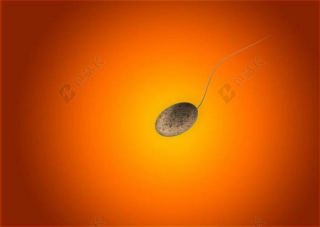 SPERIUM 暨 精子 黑 赢家 第一次 竞争 冠军