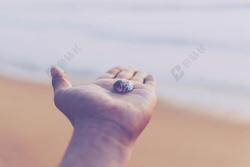 黄色手势小巧手上托着一枚贝壳纪念手摊开背景图片