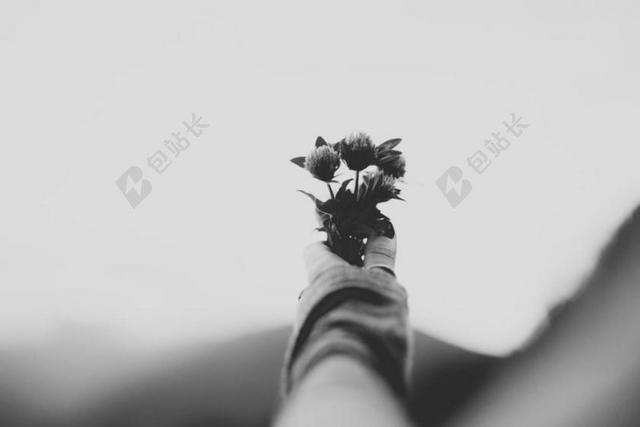 手 手势 握手 击掌 胜利 花 玫瑰 美丽 花朵 白色 浅色 黑白 简单 清新