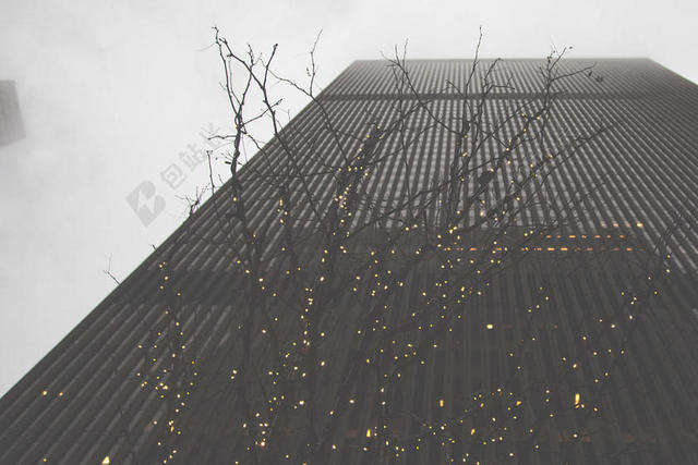 黑灰建筑现代高楼大厦下的大树建筑设计城市景观背景图片