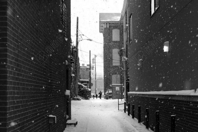 自然覆盖户外下雪的街道背景图片