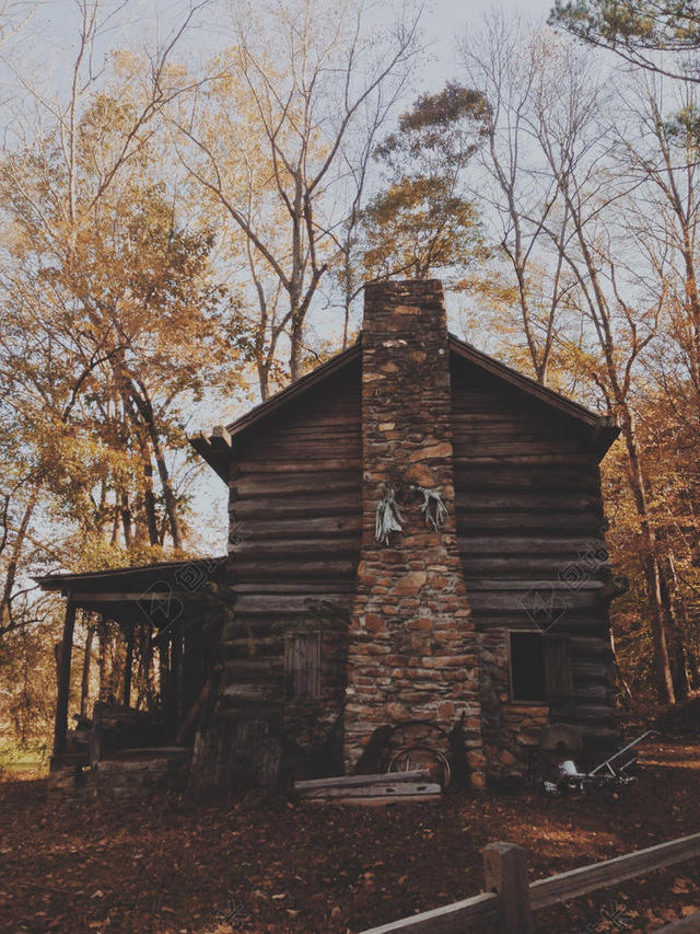 黑色建筑简约现代化森林小屋建造设计背景图片