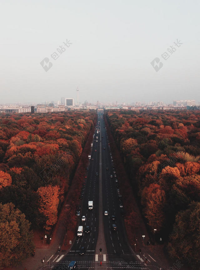 秋天公路边的红色树林背景图片