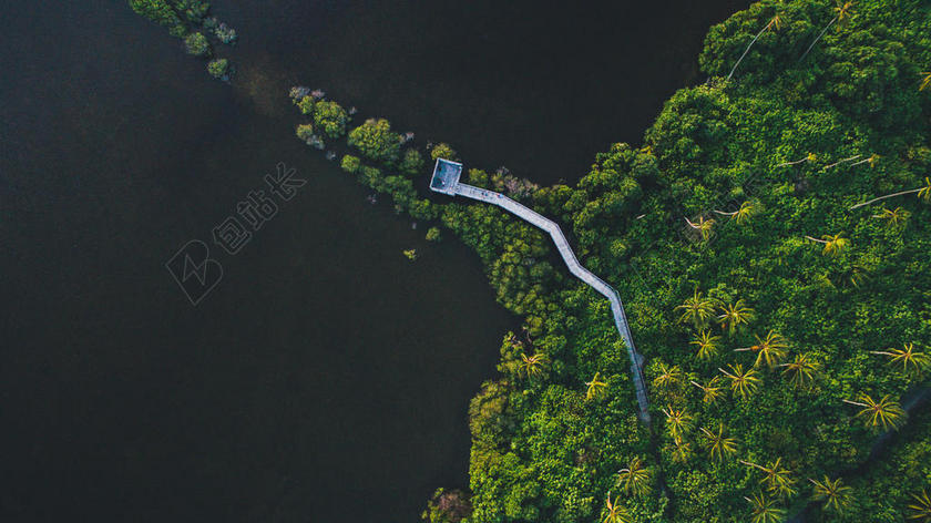 城市 都市 时尚 现代化 树木 丛林 森林 雨 下雨 惬意 树 树木 树林 森林