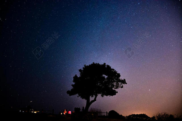 自然美丽繁星璀璨下的大树自然星空夜晚背景图片