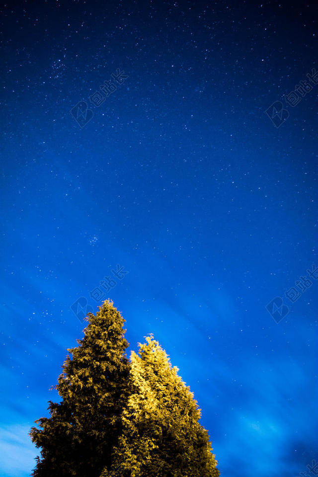 蓝色摄影自然大树天空宣传背景图片