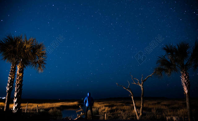 夜晚 晚上 黑夜 黑暗 灯光 霓虹灯 星空 星星 闪光 明星 树木 丛林 森林 男士 男性 男人 树 树木 树林 森林