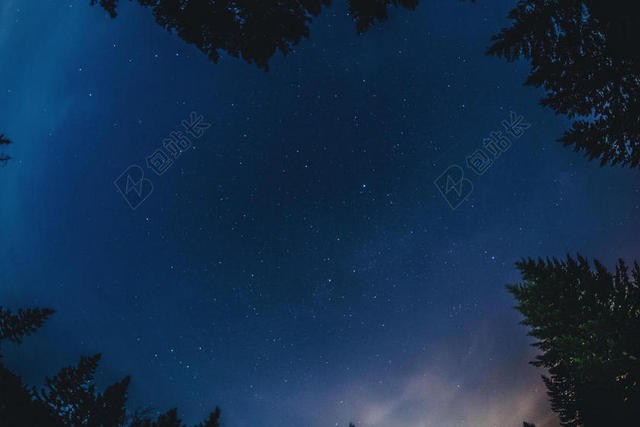 树木间的美丽星空背景图片