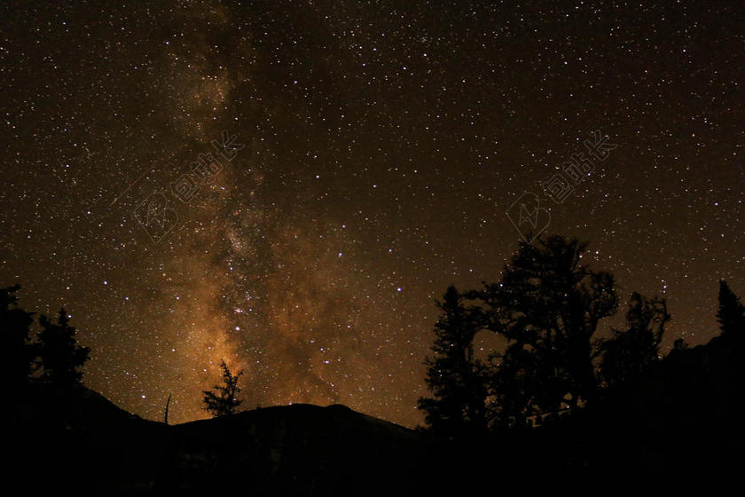夜晚 晚上 黑夜 黑暗 灯光 霓虹灯 星空 星星 闪光 明星 山 山峰 顶峰 景色 树木 丛林 森林 天空 树 树木 树林 森林 山 山峦 山峰
