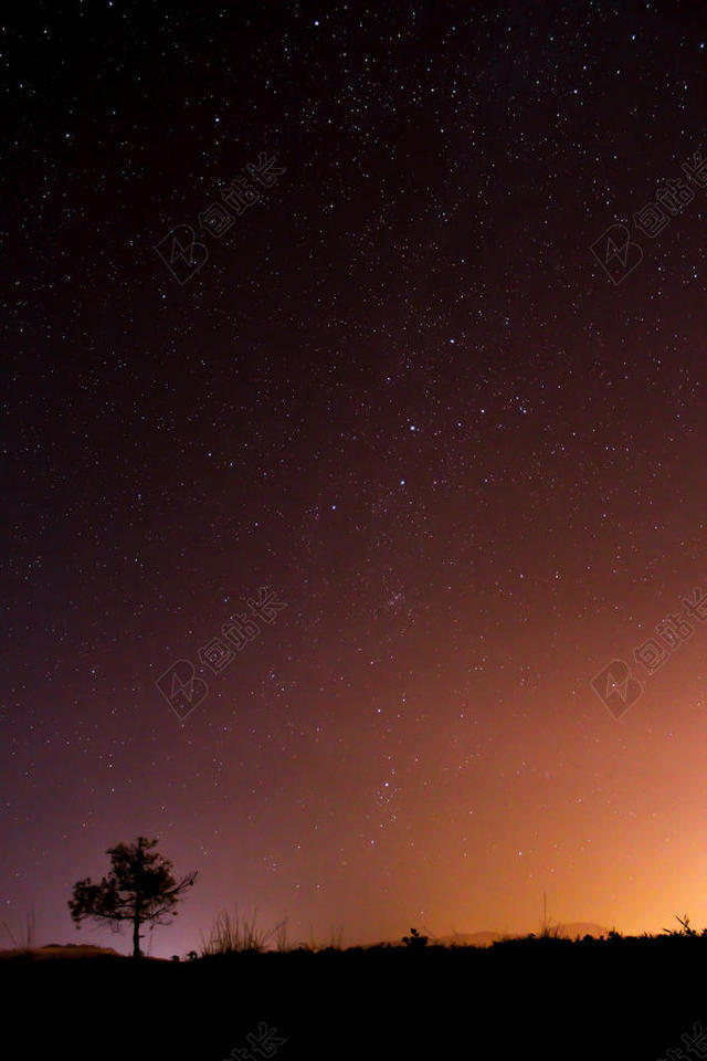 自然景色星空和小树背景图片