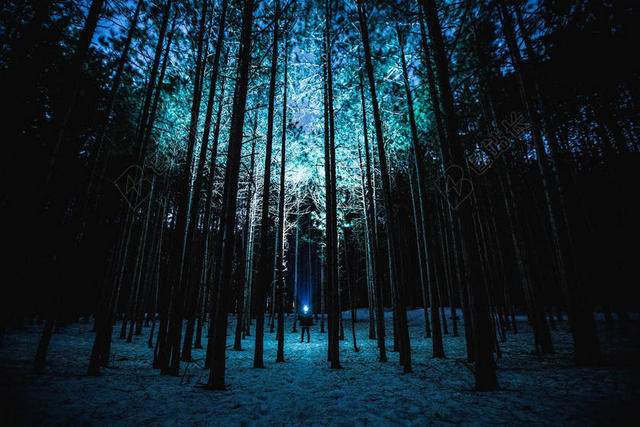 夜晚 晚上 黑夜 黑暗 灯光 霓虹灯 灯光 光线 激光 打火机 树木 丛林 森林 男士 男性 男人 树 树木 树林 森林 女性 女士 美丽 女人 一个女人