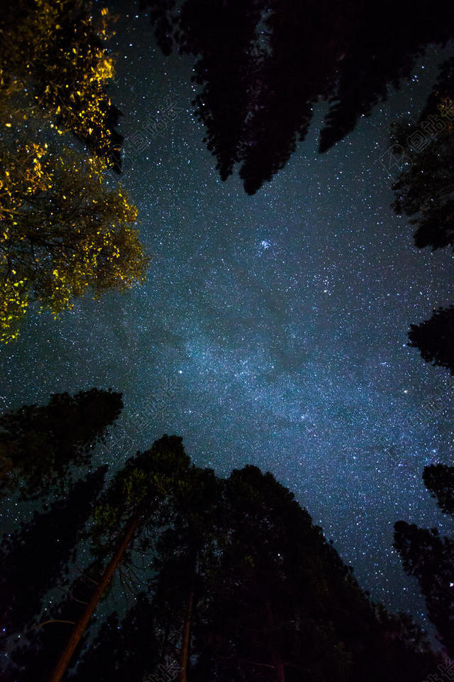 黑色旅游浪漫星空宇宙银河树林大山背景图片