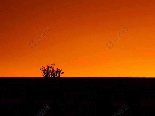 黄色艺术唯美夕阳余晖沙漠丛林植物天空背景图片