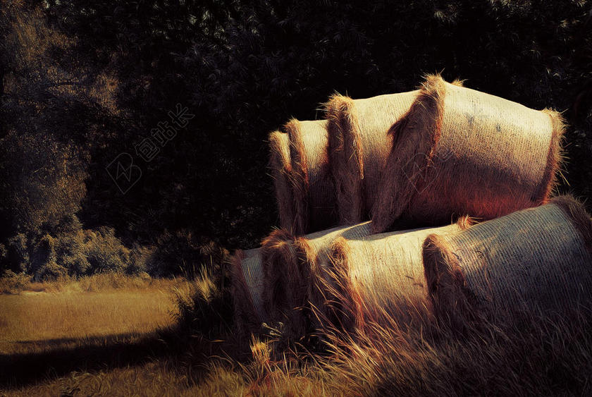 黑色旅游田园户外种植地稻谷产品背景图片