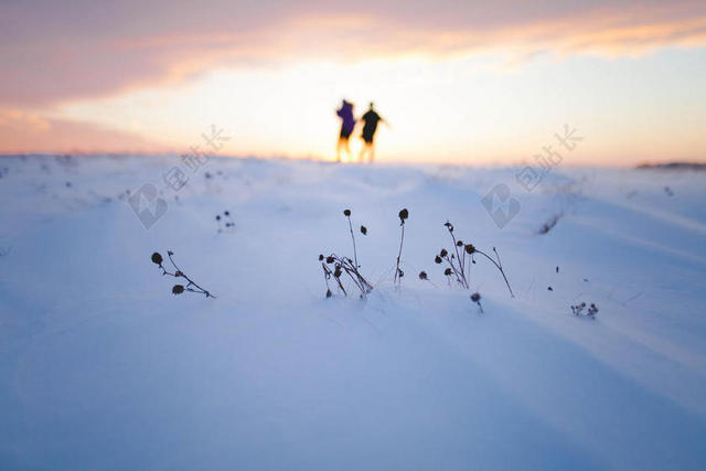 白黄光影聚焦黄昏下的人和白雪杂草自然光影背景图片