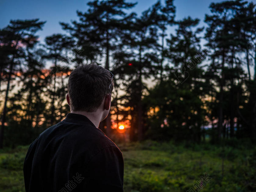 人物神秘夕阳下的深林和男子背影人物户外摄影自然背景图片