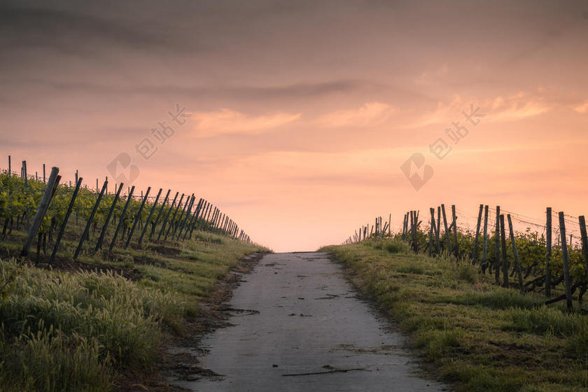 光影清新彩云下草场自然户外天空光影背景图片
