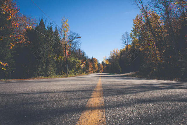 摄影自然秋日下的公路背景图片
