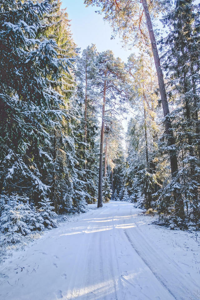 白色道路积雪冬季雪景大路山林自然道路背景图片