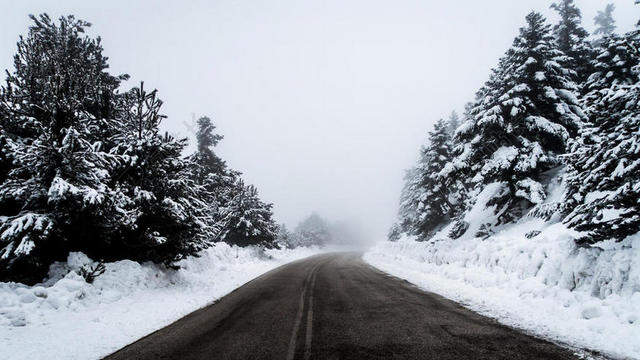 道路湿漉云雾下的积雪树林和山林自然道路背景图片