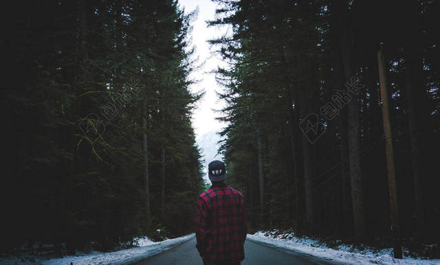 唯美站在两旁大树中间道路的男人背景图片