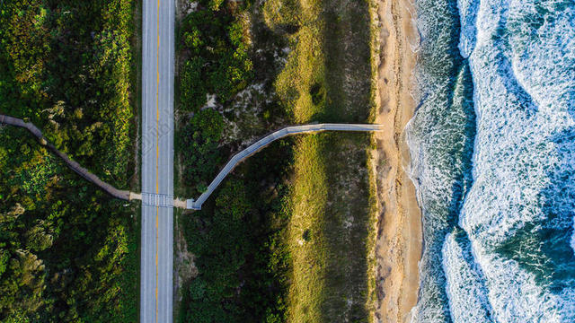 白天海边的森林公路背景图片