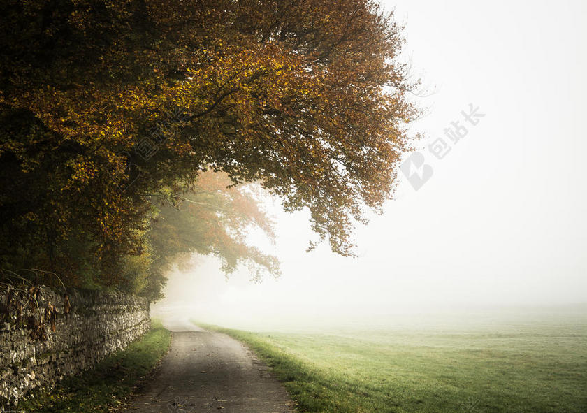 自然宁静清晨的绿地和薄雾背景图片