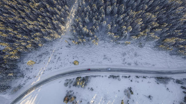 冬天白色的雪林边的公路背景图片