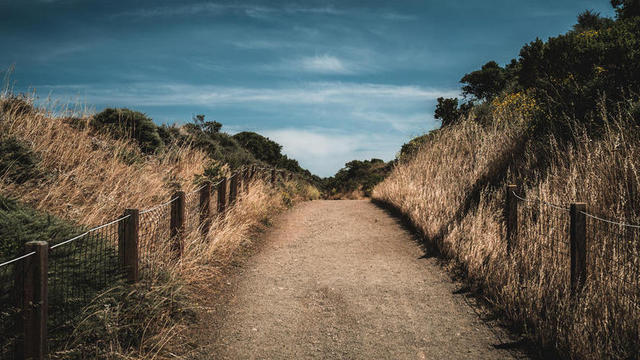 荒凉的乡间小道背景图片