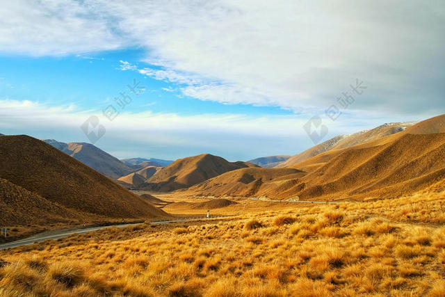 黄色的草原和公路背景图片