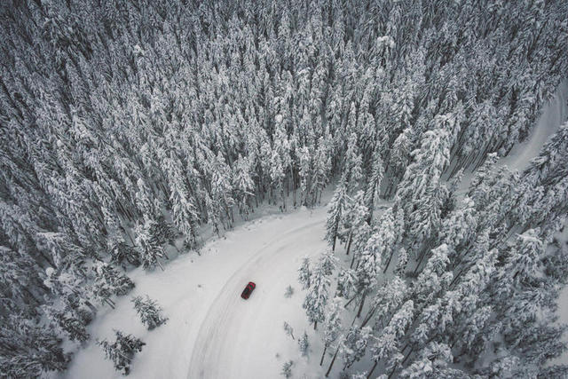 冬天雪林里的轿车背景图片