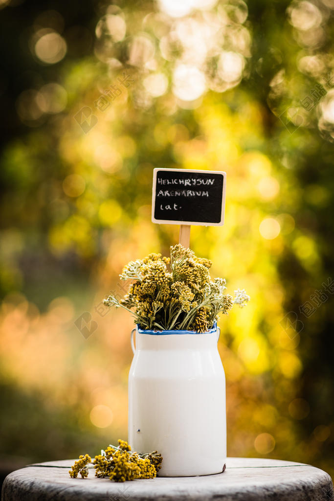 木桩上的干花花束背景图片