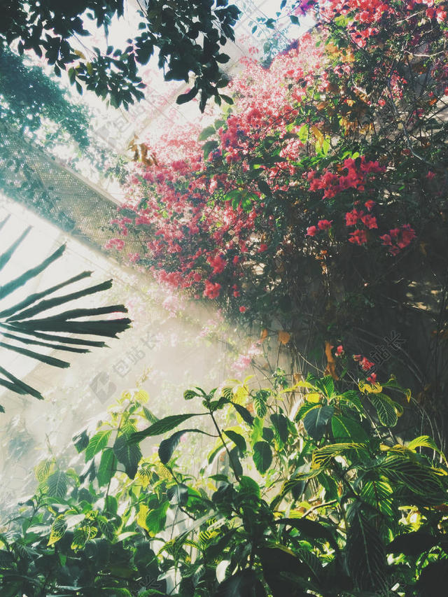园艺唯美农场里生长的植物背景图片
