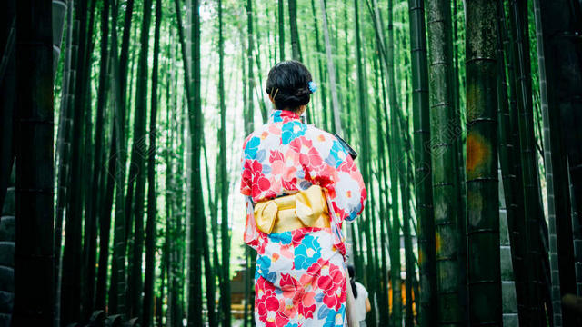 广告时尚穿和服的女性模特在竹林竹海竹子图片