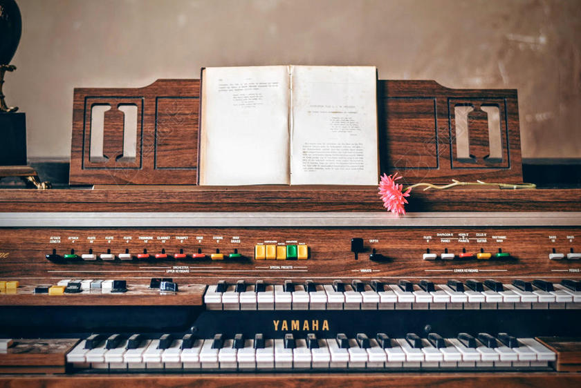 彩色音乐文艺钢琴架子上放着红花乐谱等音乐演奏植物装饰背景图片