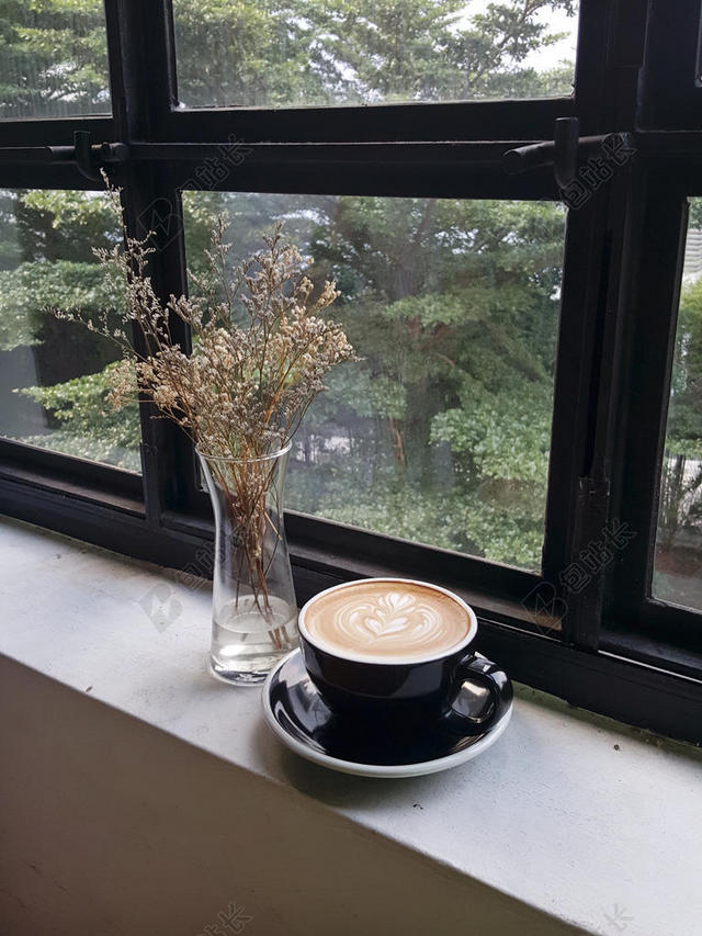 摄影文艺窗边的咖啡绿植等植物装饰餐饮饮品背景图片