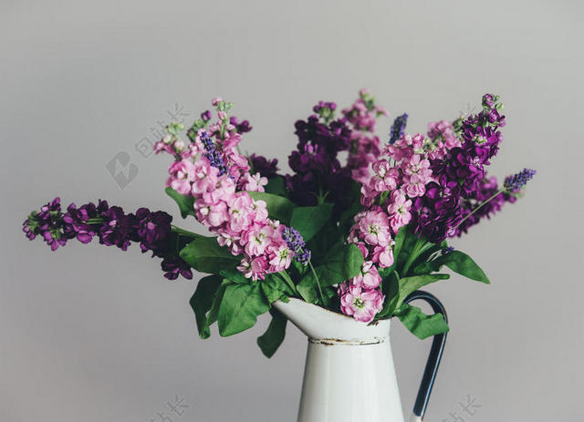 彩色植物美丽装在花瓶里面的鲜花鲜花植物装饰背景图片