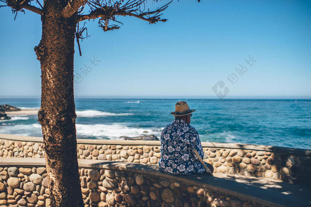 海边树荫下的老人背景图片