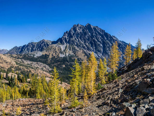 自然风景远山和山坡上的树木背景图片