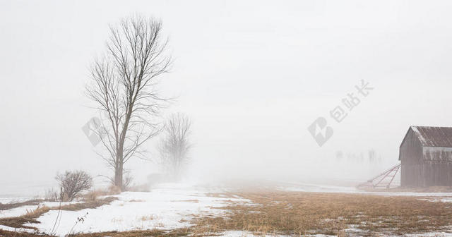 白色自然朦胧雾气下的树林和草地自然雪景背景图片